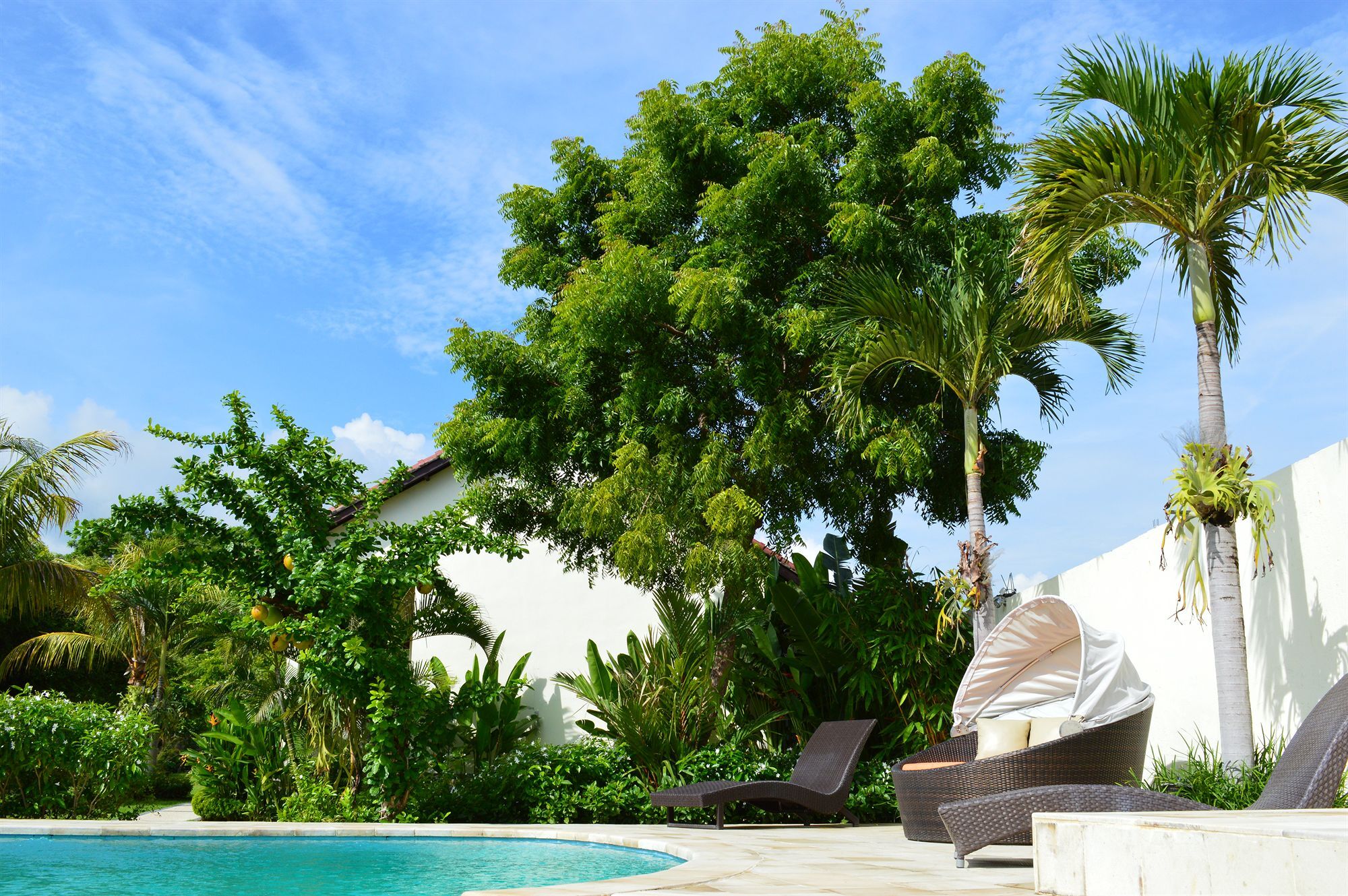 Ocean Sun Dive 3* Tulamben (Bali)